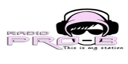 Radio Pro-B