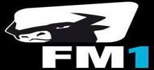 Radio FM1 Buchs