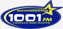 1001 FM