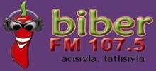 Biber FM