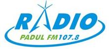 Radio Padul