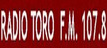 Radio Toro