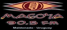 Magoya FM