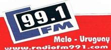 Radio Fm 99.1