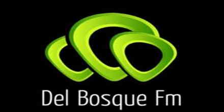 Del Bosque FM