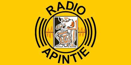 Radio Apintie