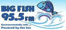 Big Fish 95.5 FM