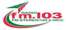 FM 103.5