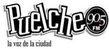 Puelche FM