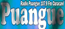 Radio Puangue