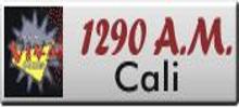 Radio Viva Cali 1290 AM