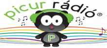 Picur Radio