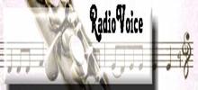 Radio Voice