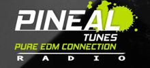 Pineal Tunes Radio