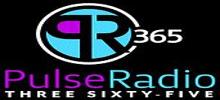 Pulse Radio 365