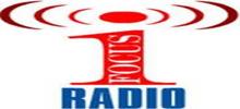 Radio Focus Vidin