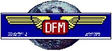 DFM RTV INT