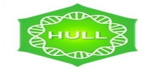 Positively Hull