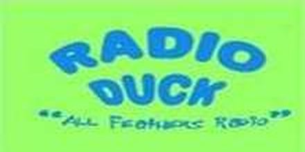 Radio Duck