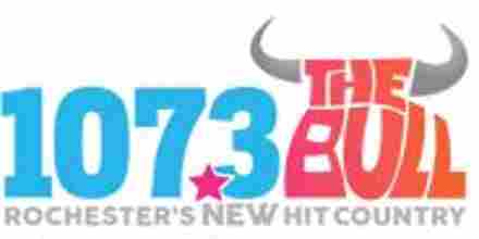 107.3 The Bull