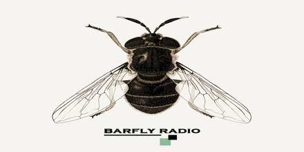 Barfly Radio