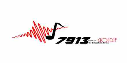 7913 Radio