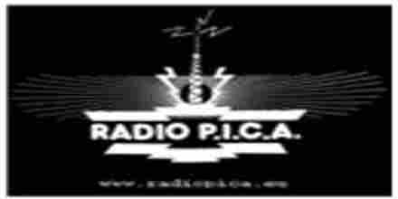 Radio PICA