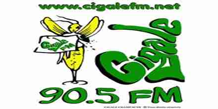 Cigale FM