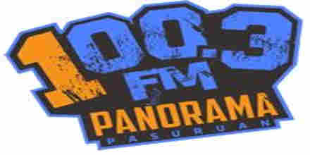 Panorama 100.3 FM