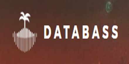 DataBass with DEREK”TheBandit”