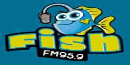 Radio Fish