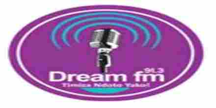 Dream FM 91.3