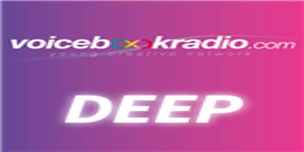 Voice Book Radio Deep