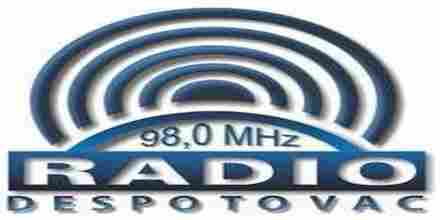 Radio Puls Despotovac