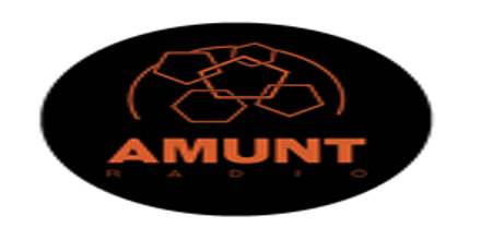 Amunt Radio