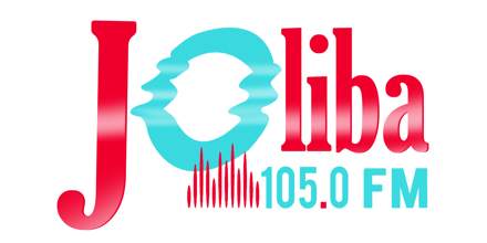 Joliba105.0 FM