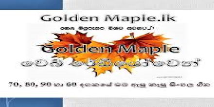 Golden Maple Radio