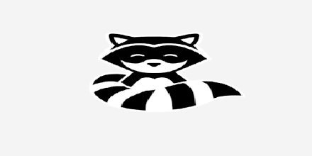 RaccoonHop