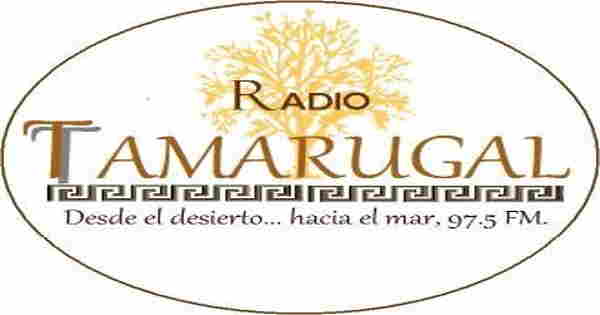 Radio Tamarugal