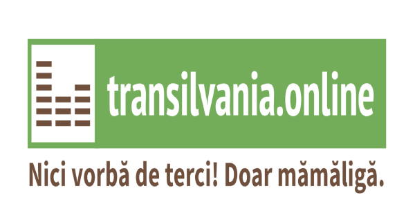 Transilvania.Online