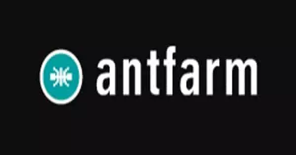 Antfarm