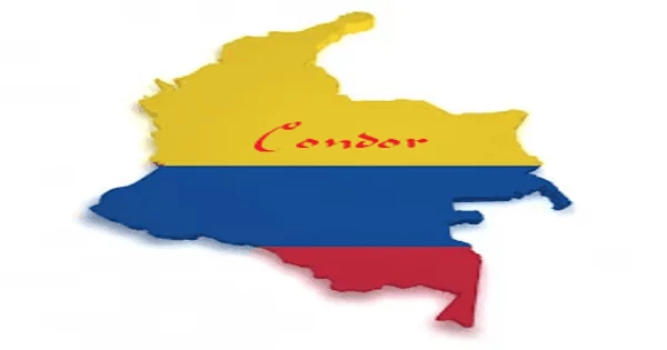 Condor Colombiana