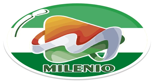 Radio Milenio Boyuibe