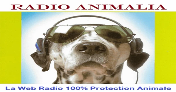 Radio Animalia