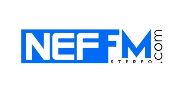 NEF FM stereo