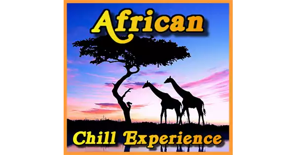 African Chill Experience