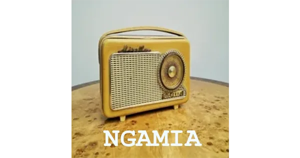 Radio Ngamia