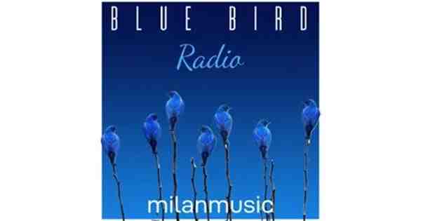 BlueBirdRadio