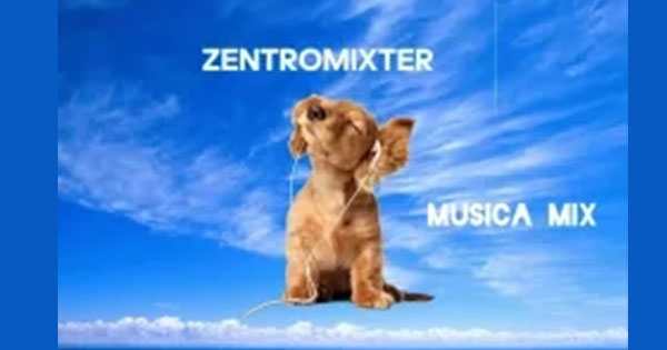 Zentromixter Musica Mix