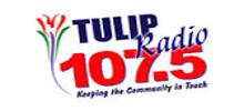 Tulip Radio